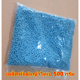 ขายส่ง 500 กรัม เมล็ดหญ้าไทเป หญ้ามาเลเซียแคระ Broadleaf Carpet Grass หญ้าสวนหย่อม สนามหญ้า หญ้า หญ้าปูสนาม พันธุ์หญ้า