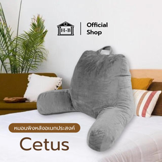 Home Best หมอนรองหลัง หมอนเมมโมรี่โฟม รุ่น Cetus ผ้ากำมะหยี่ สัมผัสนุ่มม แต่ไม่ยวบบ