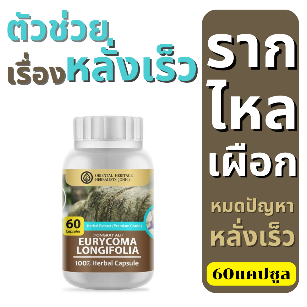 สารสกัดรากไหลเผือก สมุนไพรไทย ชนิดแคปซูล (60เม็ด) - Tongkat Ali