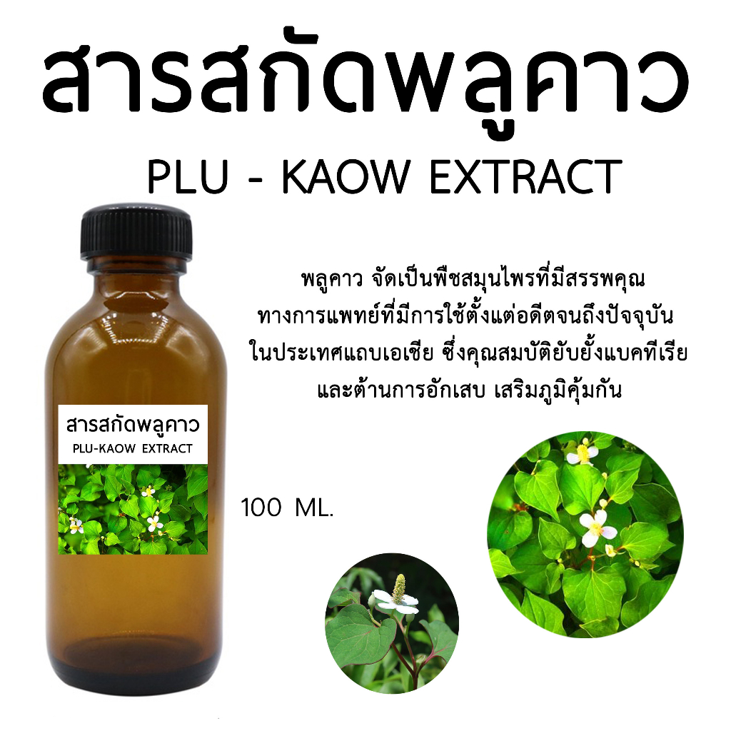 สารสกัดพลูคาว Plukaow Extract 100 ML.Iสารสกัดสมุนไพร – โปรปัง