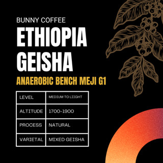 กาแฟดริป ETHIOPIA GEISHA   ANAEROBIC BENCH MEJI G1 1 ซอง10 กรัม ส่งฟรี