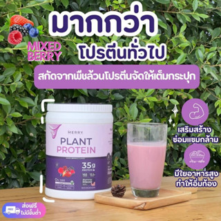 Merry Plant Protein โปรตีนพืช 5 ชนิด : รส Mixed Berry Flavor 1 กระปุก 2.3lb. / 1,050g. [ 20 Servings ]