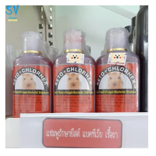 แชมพูรักษา สัตว์ KETO+XHLORHEX รักษายีส แบคทีเรีย เชื้อรา 100 G.
