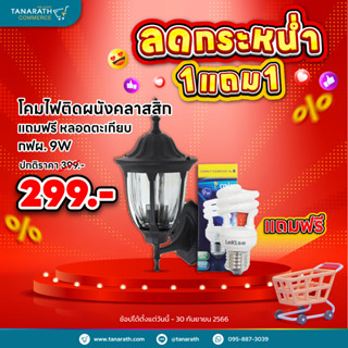 โคมไฟติดผนัง โคมไฟคลาสสิค แถมฟรี หลอดตะเกียบ กฟผ. 9 วัตต์ โคมไฟกิ่งติดผนัง ยี่ห้อ LeKise (เลคิเซ่)