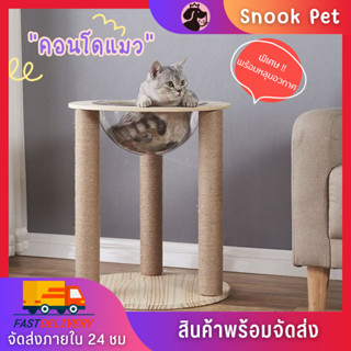 🧺Snook Pet🧺คอนโดแมวอวกาศ หลุมอวกาศแมว มินิมอล ที่นอนแมวอวกาศ อัพเกรดใหม่ เสาลับเล็บแมว พร้อมส่ง