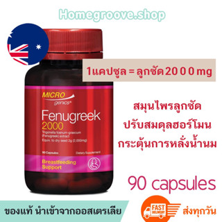 Exp6/2025 ลูกซัด เพิ่มน้ำนม Microgenics Fenugreek 2000 สมุนไพรลูกซัดกระตุ้นน้ำนม วิตามินบำรุงน้ำนม อาหารเสริมเพิ่มน้ำนม