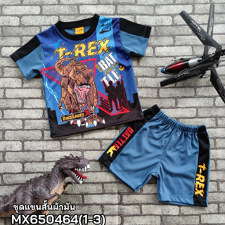 เสื้อชุดเด็กผู้ชาย  DinosaursX ของแท้ Size 1-2-3  และ S-XL (อายุ 1-3  ปีและ 6-10 ปี) พร้อมส่ง MX650464