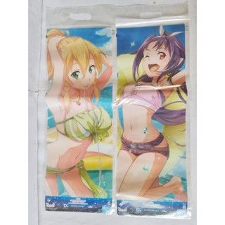 ของสะสมอนิเมะ ซอร์ดอาร์ตออนไลน์ Sword Art Online Pastic Poster Japan ลิขสิทธิ์แท้ japan 2 ชิ้น