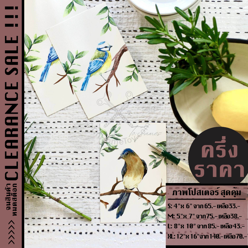 *Clearance* Reprint Poster รูปพิมพ์ชุดนก | รูป ภาพ พิมพ์ โปสเตอร์ กรอบ รูป ตกแต่ง ติด บ้าน ผนัง โปสการ์ด การ์ด บัตรอวยพร