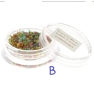 🆕️ตลับดอกไม้จริงแห้งตกแต่งเล็บ หลากสี #(Bน้ำเงิน)คุณภาพพรีเมี่ยม สีสด เนื้อบาง คุณภาพนำเข้า พร้อมส่ง