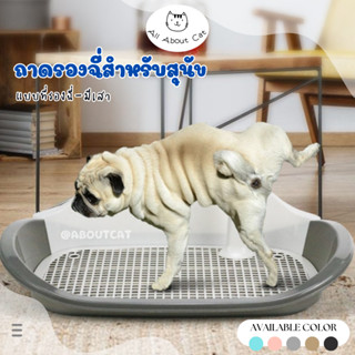 [ ABC cat ] [ถาดรองฉี่สุนัข 005]  ถาดรองฉี่สำหรับสัตว์เลี้ยง ห้องน้ำหมา