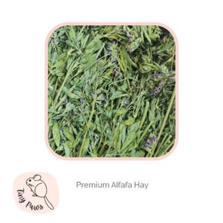 Premium Alfafa Hay หญ้าอัลฟาฟ่า พรีเมี่ยม อัลฟาฟ่าดอก หญ้าดอก