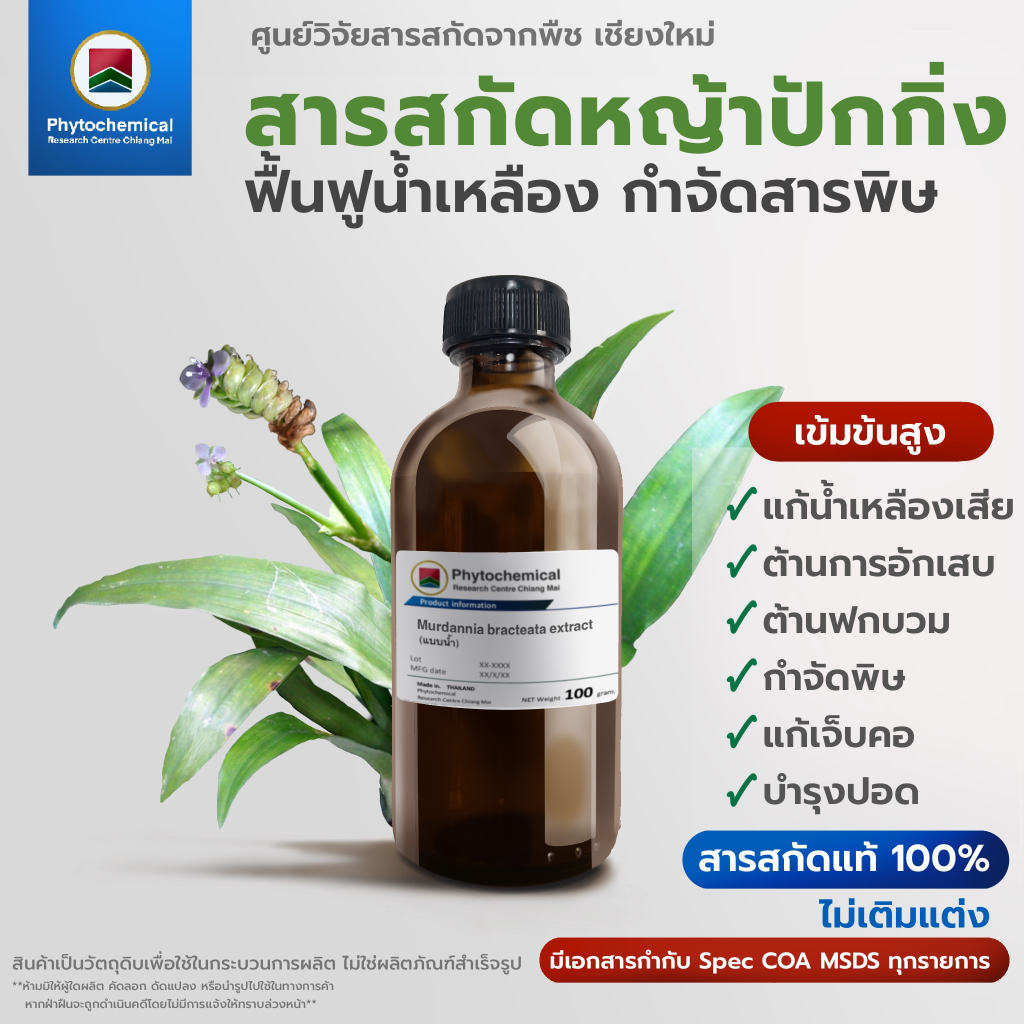 สารสกัดหญ้าปักกิ่ง(แบบน้ำ) Beijing Spiderwort extract | สารสกัดจากพืช สารสกัดสมุนไพร 100% | เข้มข้นสูง 25-100 g.