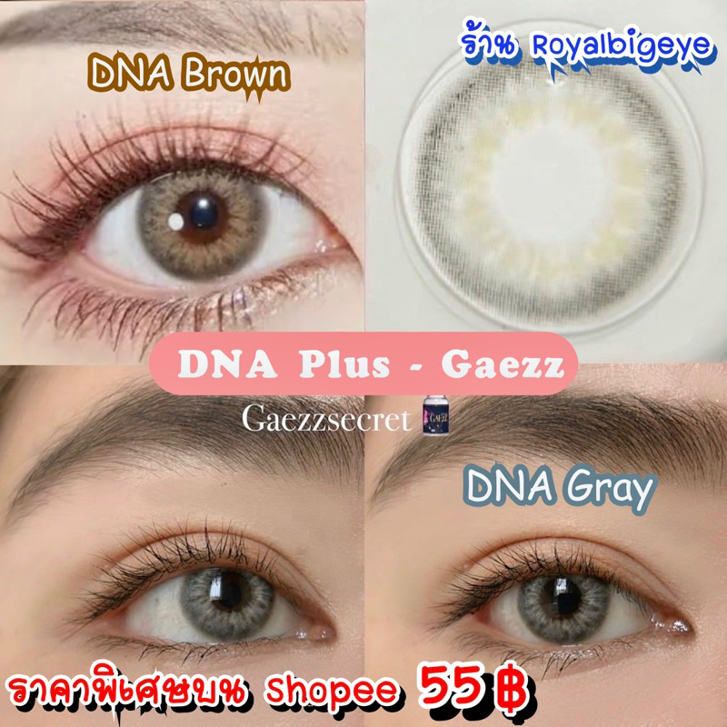 ส่งด่วนทุกวัน‼️คอนแทคเลนส์ DNA Plus สี Gray / Brown - Gaezz Secret สีเทา/สีน้ำตาลขนาดมินิ