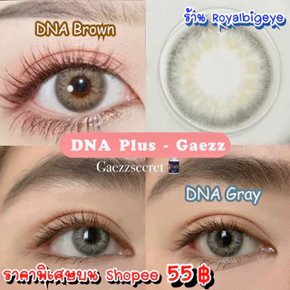 ส่งด่วนทุกวัน‼️คอนแทคเลนส์ DNA Plus สี Gray / Brown - Gaezz Secret สีเทา/สีน้ำตาลขนาดมินิ