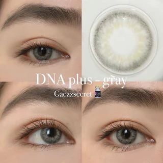 ส่งด่วนทุกวัน‼️คอนแทคเลนส์ DNA Plus สี Gray / Brown - Gaezz Secret สีเทา/สีน้ำตาลขนาดมินิ