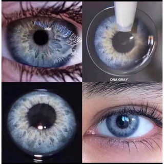 ส่งด่วนทุกวัน‼️คอนแทคเลนส์ DNA Plus สี Gray / Brown - Gaezz Secret สีเทา/สีน้ำตาลขนาดมินิ