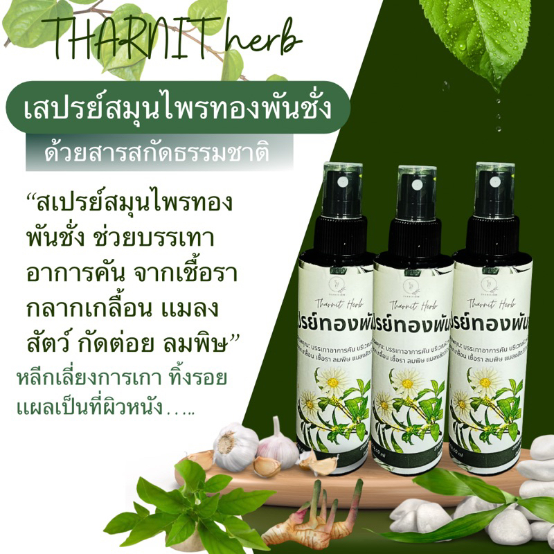 รูปภาพ 2