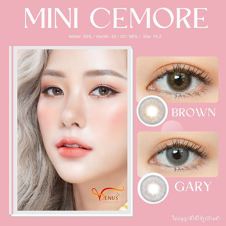 คอนแทคเลนส์  MINI CEMOER ✨ ยี่ห้อ ; Color Gary / Brown ( ค่าสายตาปกติ )