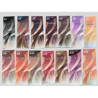 Berina ครบทุกสี สีย้อมผม ยาย้อมผมเบอริน่า A1-A47 สีปิดหงอกปิดผมขาว สีผมแฟชั่น