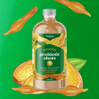 Vegain [480ML./ขวด] Ginger Probiotic Shot(Fingerroot) น้ำขิงหมักรสกระชายขาว