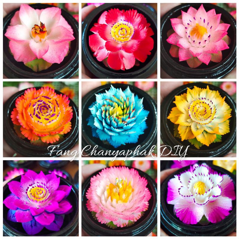 สบู่แกะสลักในตลับไม้ 10-20 ชิ้น คละลาย