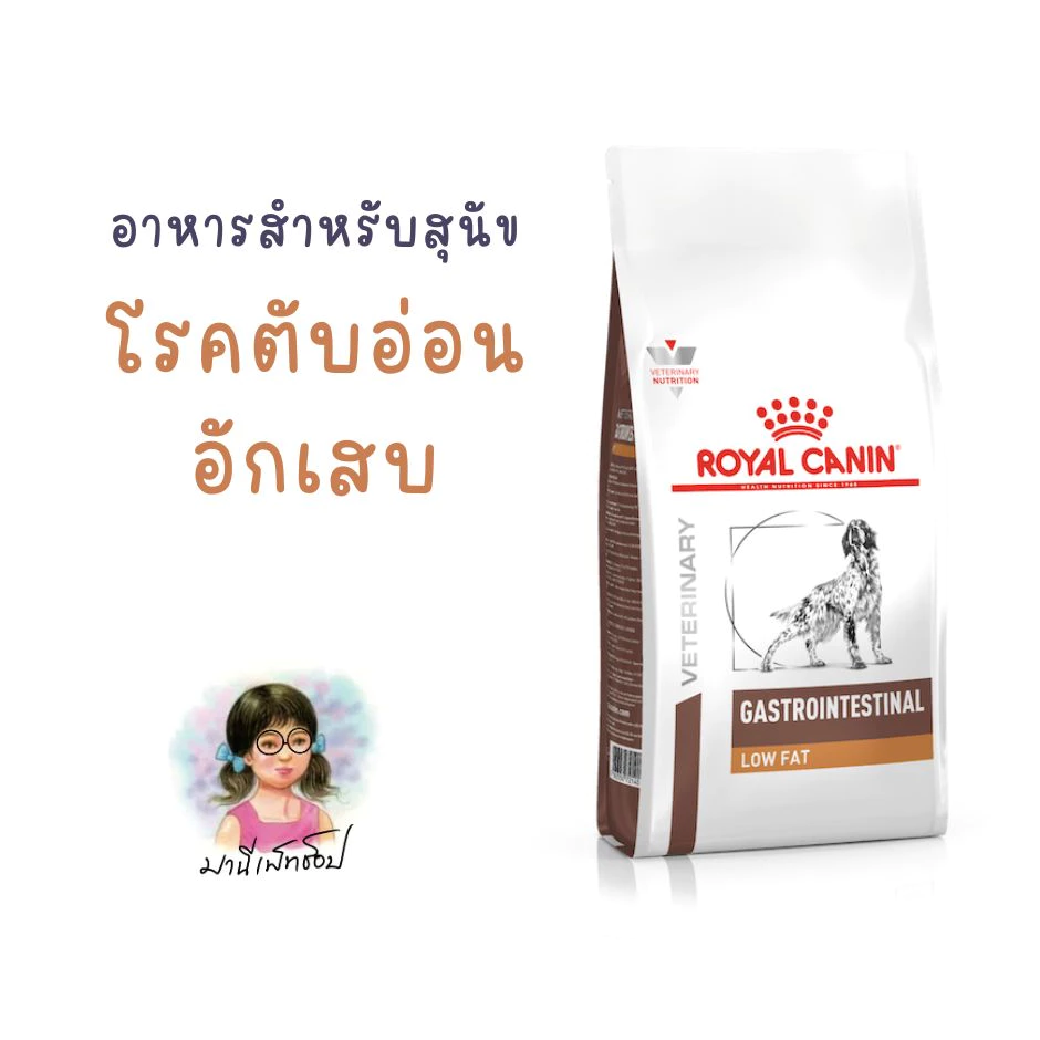 Royal Canin GASTRO INTESTINAL LOW FAT 6 kg อาหารสุนัข รักษาโรคตับอ่อนอักเสบ low fat 6 kg ชนิดเม็ด Dog food