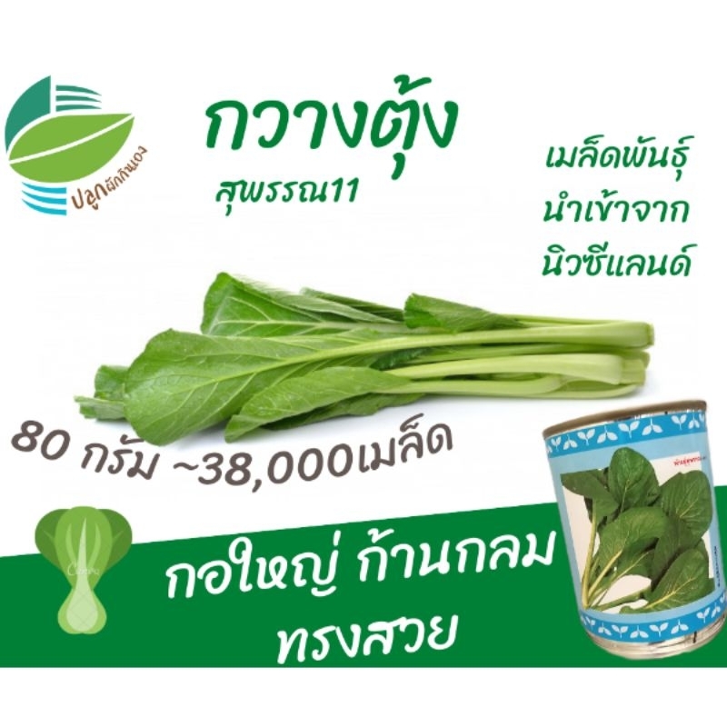 ผักกาด กวางตุ้ง ~38,000 เมล็ด (80กรัม)
