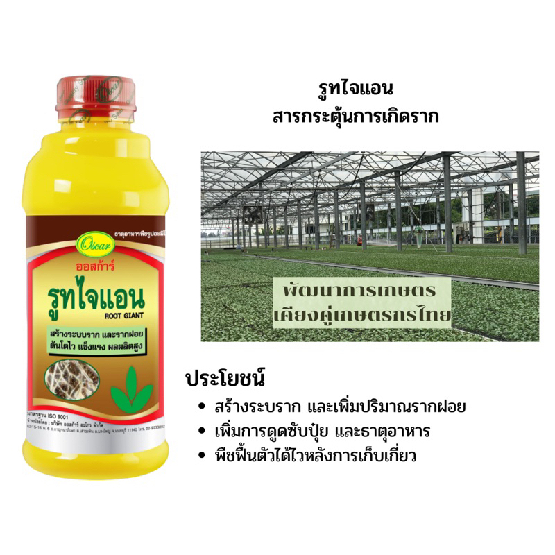 รูทไจแอน ออสก้าร์ อาหารเสริมเร่งราก สารอะมิโนคอมเพล็กซ์ กระตุ้นการเกิดราก ขนาด1ลิตร