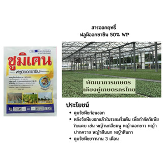 ยาคุมหญ้า ซูมิเคน ฟลูมิออกซาซิน สารกำจัดวัชพืช คุมได้ดี คุมได้นาน ใช้ได้ทั้งในไร่มัน และ อ้อย ขนาด50 กรัม