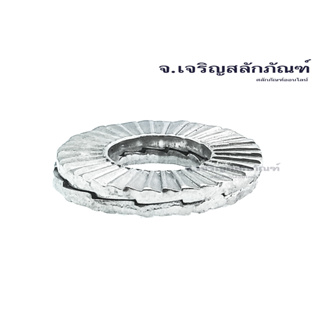 แหวนล็อคคู่กันคลายสแตนเลส M6-M16 แบบขอบกว้าง แหวนล็อคกันคลาย แหวนล็อค STAINLESS STEEL 316 WEDGE LOCK WASHER