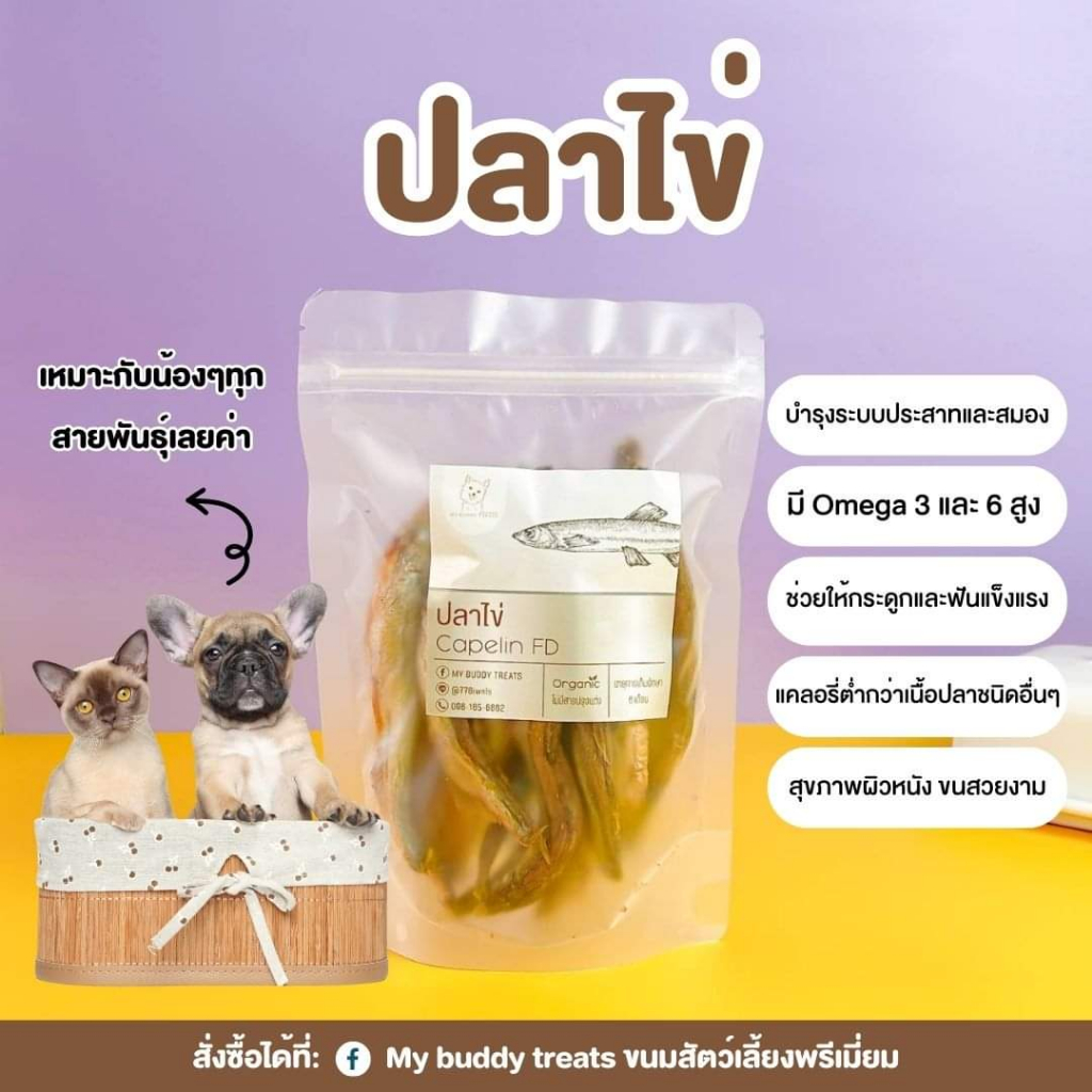 ปลาไข่ฟรีซดรายเต็มตัว ซื้อ10เเถม1