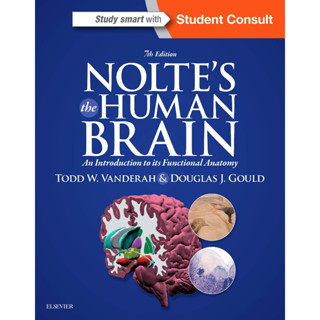 [หนังสือ] Noltes The Human Brain Functional Anatomy กายวิภาคศาสตร์ gray grays grey greys moore atlas of medicine