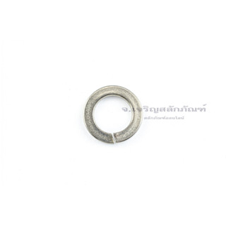 แหวนสปริงสแตนเลส เกรด 304 (stainless steel spring washer) ขนาด M2 - M20  แหวนรองน็อตสแตนเลส (แพ็คละ 1 ตัว)