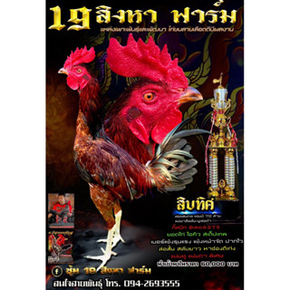 ไข่ไก่ชน ลูกแสนกล แชมป์ 70 ล้าน ชุด 2 ฟอง รับประกันเชื้อ(ส่งด่วน)