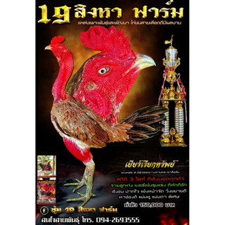 ไข่ไก่ชน ลูกแดงหล่อ แชมป์ 50 ล้าน ชุด 2 ฟอง รับประกันเชื้อ(ส่งด่วน)