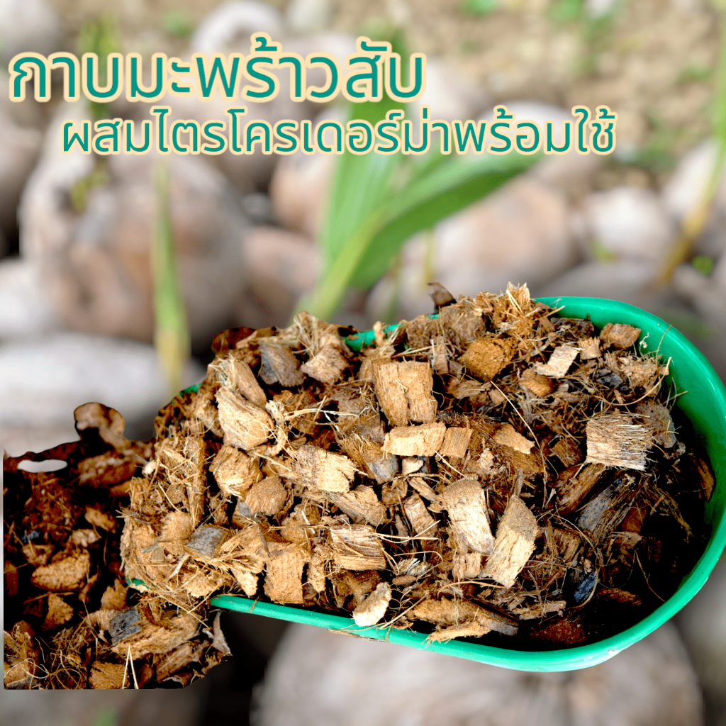 กาบมะพร้าวสับผสมเชื้อไตรโครเดอร์ม่า  รองพื้นกระถาง หรือ ผสมวัสดุปลูกแบบพร้อมใช้