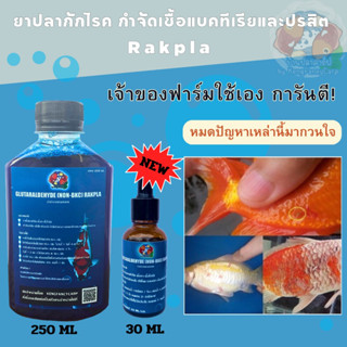 กำจัดปรสิต ยาปลา กักโรค ในบ่อปลา และ ตู้ปลา ❤️‍🩹Gluta Rakpla ❤️ Glutaraldehyde 50% Non-BKC