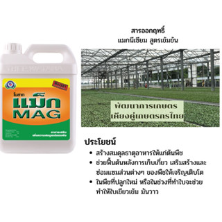 โมสาท แม็ก ขนาด 5 ลิตร ธาตุอาหารเสริมพืช ฮอร์โมนพืช (ใบเขียวเข้ม สะสมอาหารก่อนออกดอก)