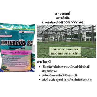 เอราแลกซิล 35 (metalaxyl) เมทาแลกซิล (ยาสีชมพู) ป้องกันกำจัด โรคเน่าคอดิน รากเน่า ยอดเน่า โรคราน้ำค้าง ขนาด1กิโล