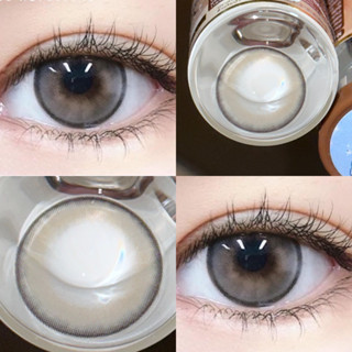 ✨Gray ขนาดตาโต (Bigeyes) เลนส์กรองแสง uv ✔️จดทะเบียนถูกต้อง 🇰🇷เลนส์สัญชาติเกาหลี🇰🇷
