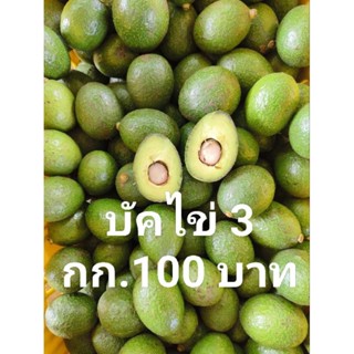 อาโวคาโด้สายพันธุ์บัคคาเนียร์ไข่3กก.100บาท