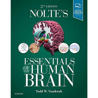 [หนังสือ] Noltes Essentials of the Human Brain กายวิภาคศาสตร์ anatomy ประสาทวิทยา neurology neuroscience neuroanatomy