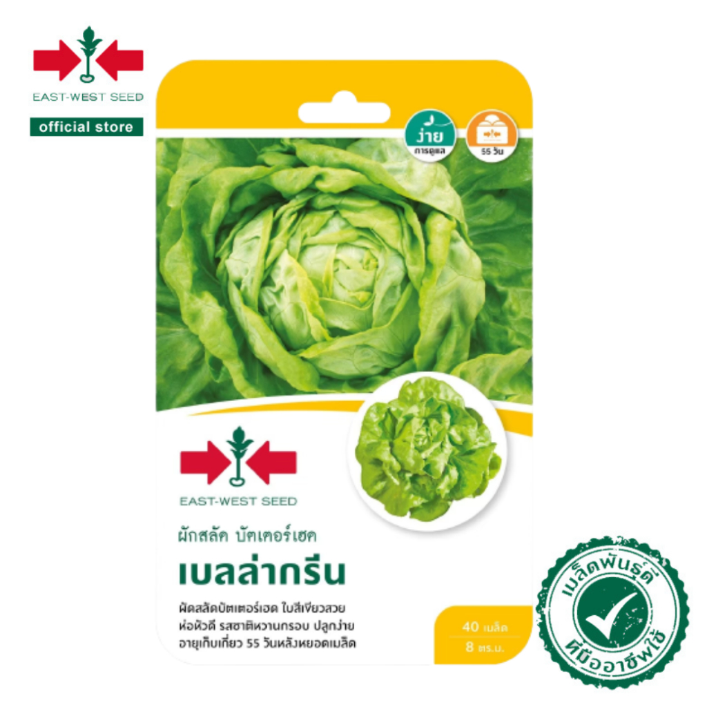ศรแดง เมล็ดพันธุ์ผักสลัด บัตเตอร์เฮด เบลล่ากรีน (East-West Seed) เมล็ดพันธุ์ ผักสวนครัว ตราศรแดง
