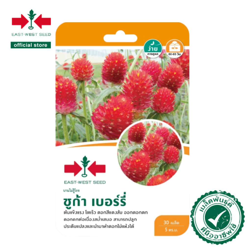 ศรแดง เมล็ดพันธุ์บานไม่รู้โรย ชูก้า เบอร์รี่ (East-West Seed) เมล็ดพันธุ์ ผักสวนครัว ตราศรแดง