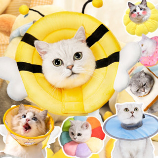 COD ปลอกคอกันเลีย คอลล่าแมว คอลล่าสุนัข ปลอกคอสัตว์เลี้ยง นุ…