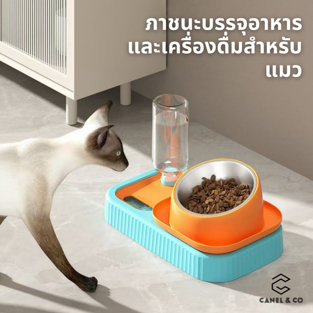 2in1 อาหารสุนัข เครื่องป้อน เครื่องป้อน อาหารสัตว์เลี้ยง อาหารหมา น้ำดื่มเครื่องจ่ายเครื่อง สุนัข แมว Pet Food Feeder