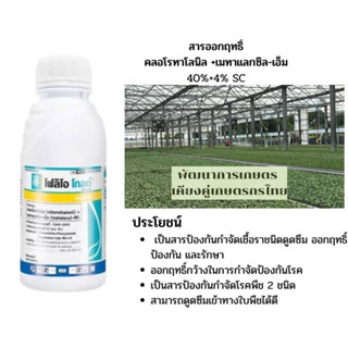 โฟลิโอ โกลด์ ขนาด500 ซีซี ซินเจนทา ราน้ำค้าง ใบไหม้ สารเมทาแลกซิล สูตรครีม