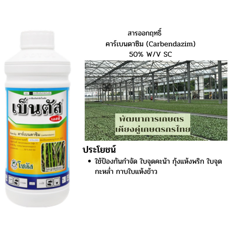 เบ็นตัส คาร์เบนดาซิม ขนาด 1ลิตร สารป้องกันกำจัดเชื้อราประเภทดูดซึม ออกฤทธิ์ทั้งแบบป้องกันและกำจัด