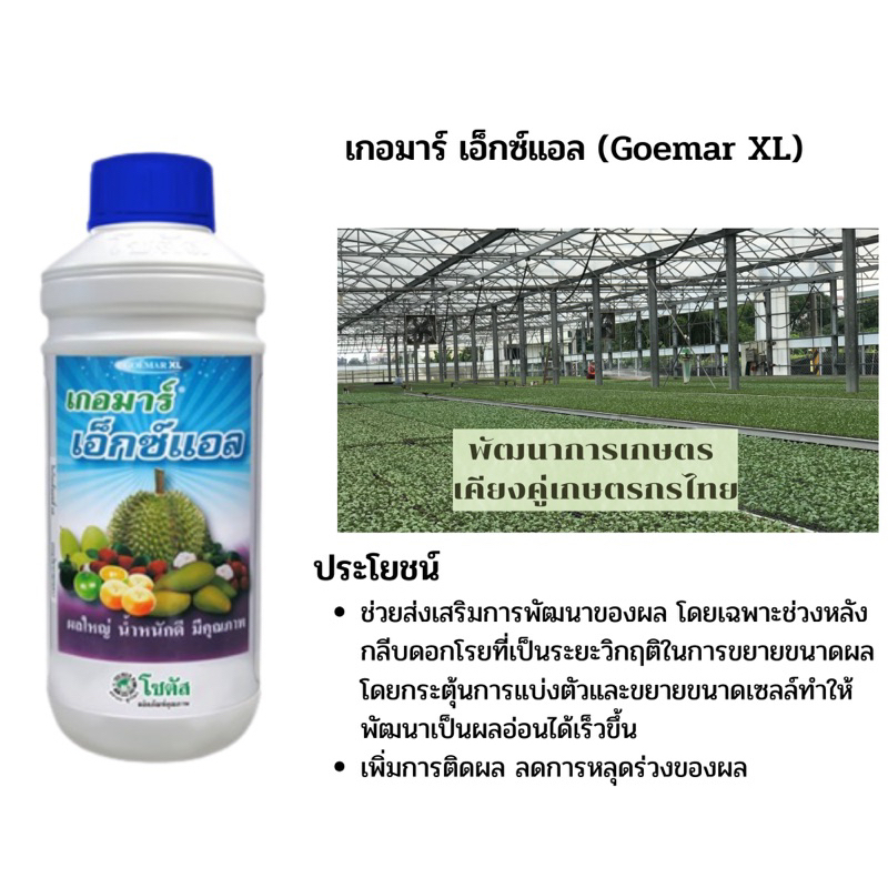 เกอมาร์เอ็กซ์แอล(Germa-XL) ขนาด 1 ลิตร